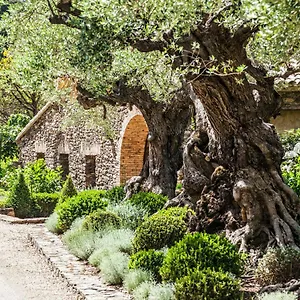 Domaine Les Mésanges Maison d'hôtes